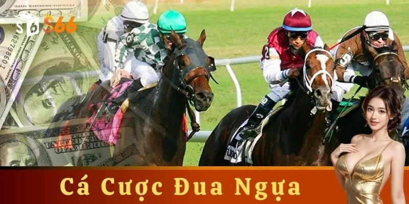 Cá cược đua ngựa đỉnh cao: Bí kíp chơi thắng lớn cho tân thủ