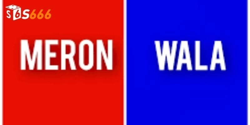 Wala Là Gì, Meron Là Gì? Bí Quyết Thắng Lớn Đá Gà Cùng S666!