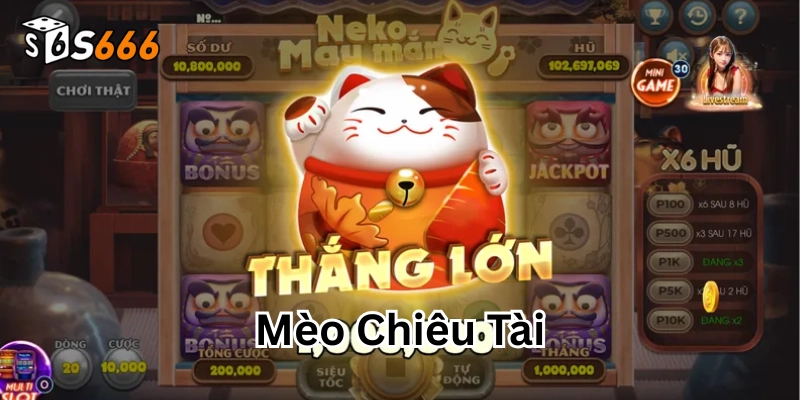 Mèo Chiêu Tài có gì nổi bật